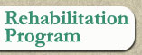 Rehabilitation